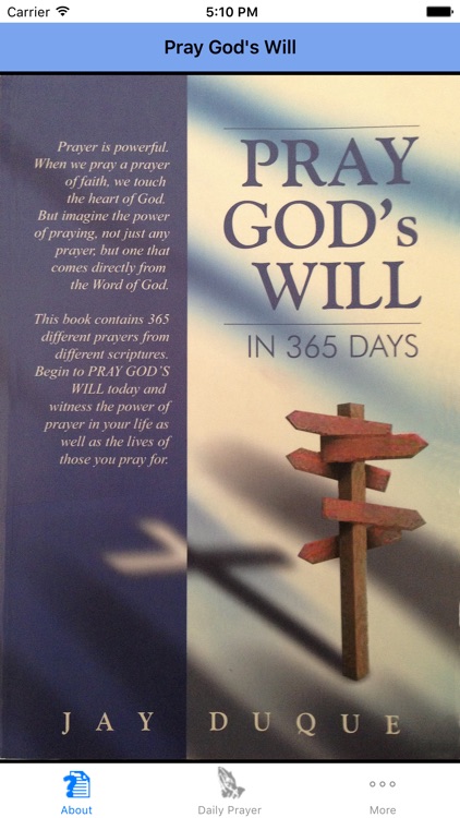 Pray God's Will - In 365 Days