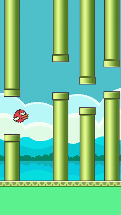 Super Bird: Let.Go!