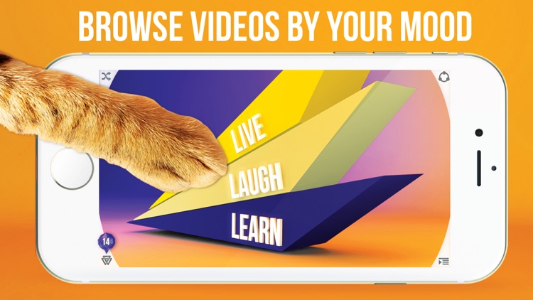 ivvi™ - Ultimate Video Discovery Guide