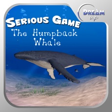 Activities of Humpback Whale