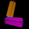 Centriole Assembly AR