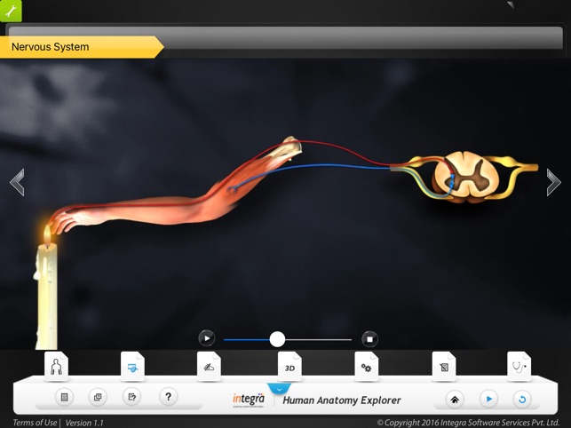 Human anatomy explorer Nervous System(圖2)-速報App