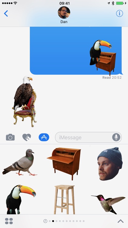 Birds on Furniture