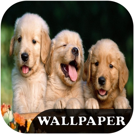 Dog Breeds Wallpapers - Cute Little Puppies Wallpapers icon