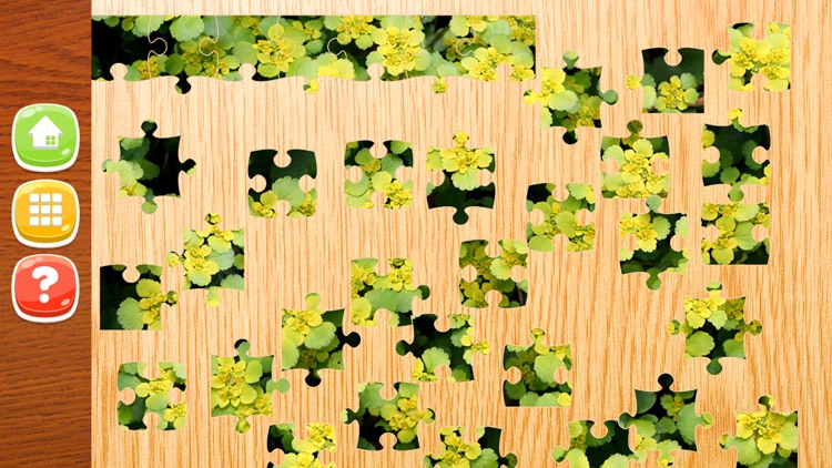 Flower Jigsaw Puzzle HD - New Jigsaw Games for Kids and Adults screenshot-4