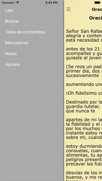 Libro de Oración (Oraciones Católicas y Cristianas) Prayer Book in Spanish screenshot 3