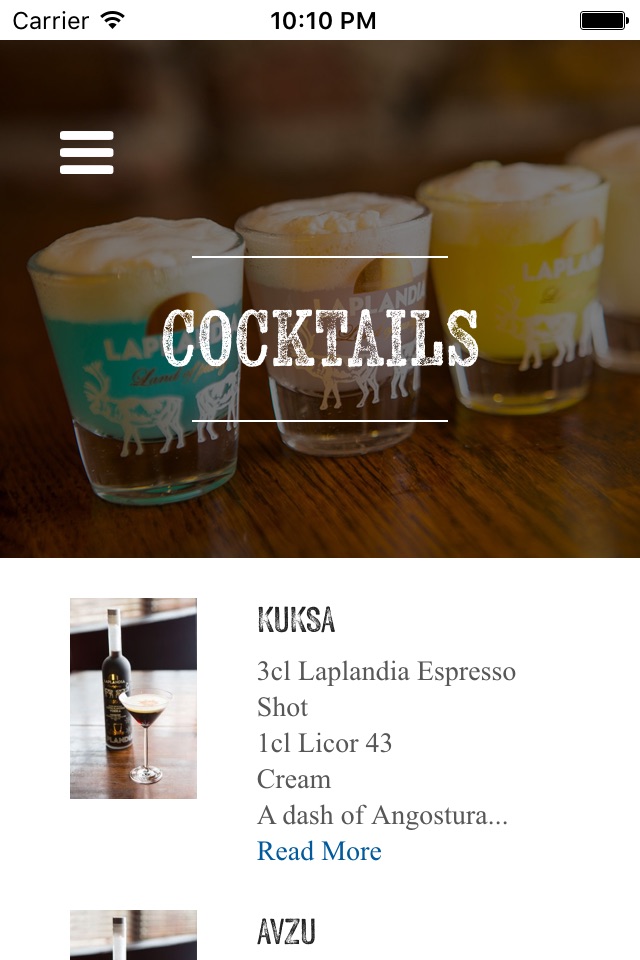 Laplandia Vodka screenshot 2