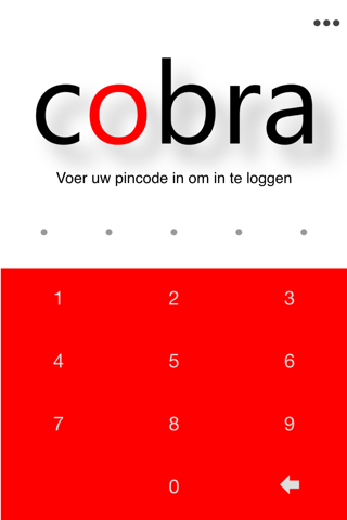 Cobra HRM & Salaris screenshot 3