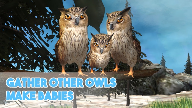 Forest Owl Simulator - Be a wild bird!