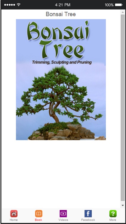 Bonsai Tree - A Guide to Growing Bonsai and Making Bonsai