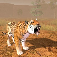 Activities of Hungry Tiger 3D