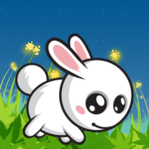 Rabbit's Races iOS App