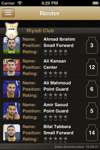 Lebanese Basketball screenshot 3