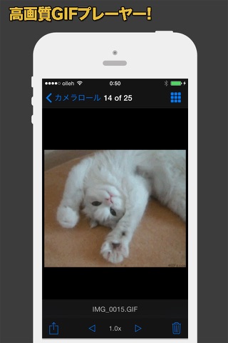 GIF Show Pro - GIF Viewer and Album screenshot 2