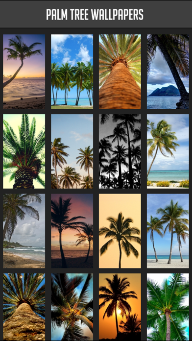 How to cancel & delete Palm Tree Wallpaper from iphone & ipad 1