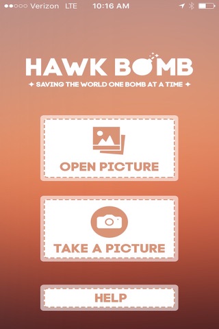 Hawk Bomb screenshot 2