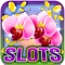 Super Green Slot Machine: Beat the laying natural odds and win instant spins and rolls