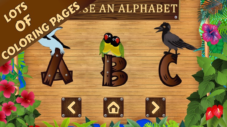 Bird Alphabet Coloring Book