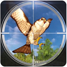 Activities of Bird Hunting Season - Real 3D Big Game Hunter Challenge