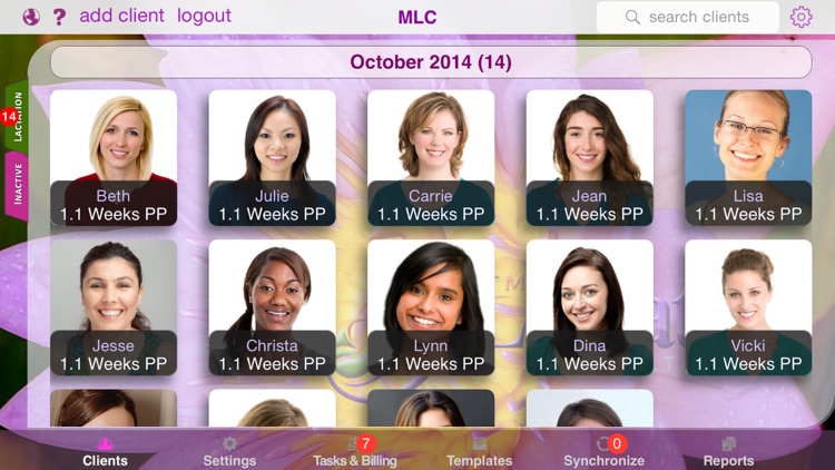 Mobile Lactation Consultant