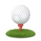 Golf Guess - Name the Pro Golf Players!