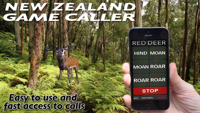 NZ GAME CALLS(圖1)-速報App