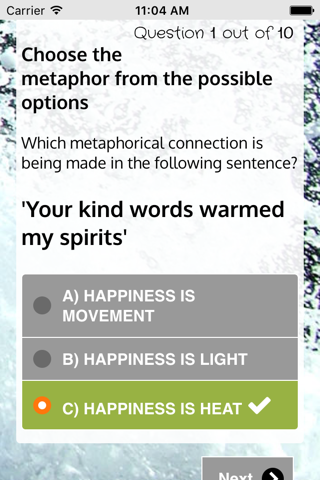 MetaphorIC - náhled