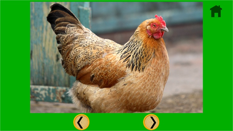 kids farm animals lovers - free screenshot-4