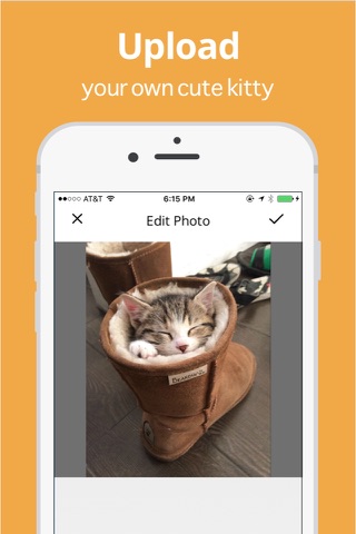 Cats App screenshot 4