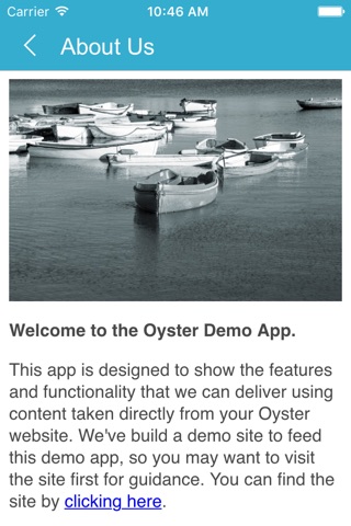 Oyster Marketing & Design screenshot 2