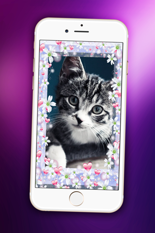 Pretty Kitten Wallpaper – Cute Baby Pet Lock Screen Theme & Adorable Kitty Cat Background.s screenshot 4