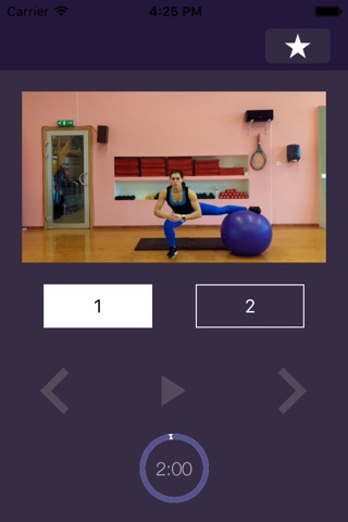 Stability Ball Exercises – Swiss Exercise Program for Strength and Physically Strong Gym Body screenshot 2