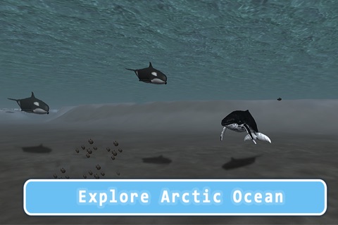 Orca Killer Whale Survival Simulator 3D - Play as orca, big ocean predator! screenshot 3