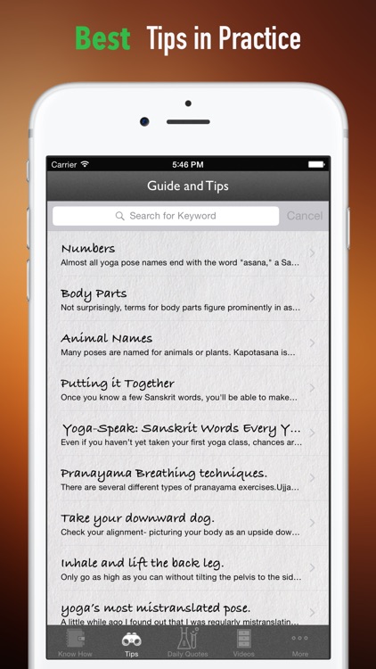 Sanskrit Yoga 101: Tips and Tutorials screenshot-3