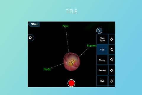 Tulip 3D screenshot 4