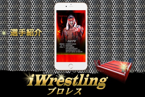 iWrestling ver HAYABUSA screenshot 4