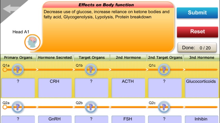 EndocrineQuiz screenshot-3