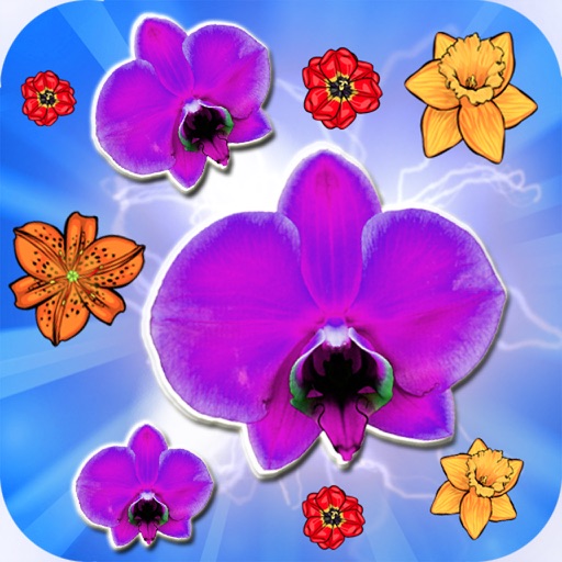 Beatufull Blossom Mania Mart Game iOS App