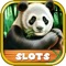Wild Panda Slots - Jackpot Slot Machine Vegas Style