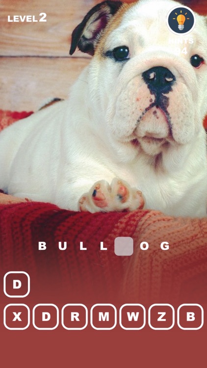 Dog Genius – photo trivia with puppies in makeup
