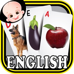 Preschool Kindergarten Kids English ABC Alphabets & Number Flash Cards