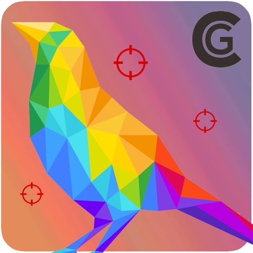 Bird Shooter Fun - The amazing bird hunting mini game play for kids iOS App