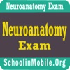 Neuroanatomy Exam Prep