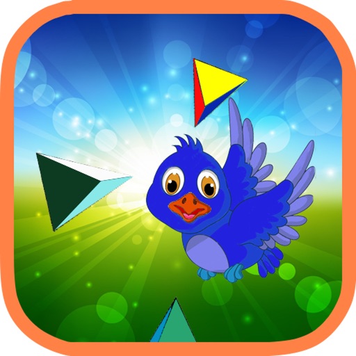 Follow Bird iOS App