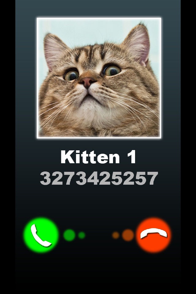 Fake Call Kitten Joke screenshot 2
