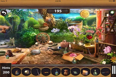 Village Adventure Hidden Objects screenshot 3