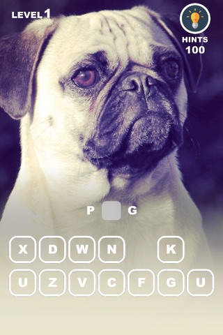 Dog Breed Training: Pet Trivia screenshot 3