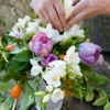 DIY Flower Arranging for Beginners:Guide and Tips