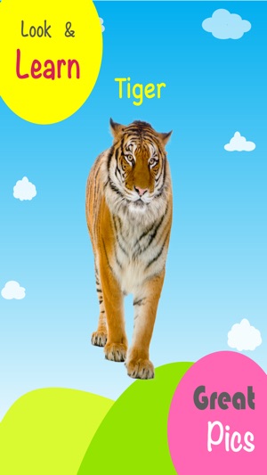 Smartkins Animals Fun Learning Educational Flashcards With I(圖3)-速報App