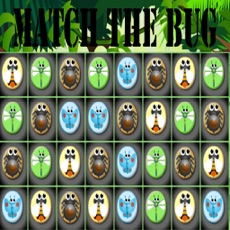 Activities of Match The Bug - Puzzle Adventure